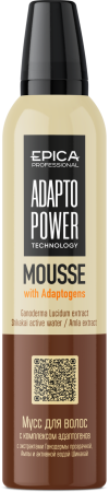 91281 Adapto Power Mousse 250.png