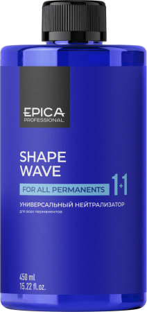913178_Shape_Wave_1+1_450.png